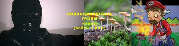 гашиш Нефтекумск