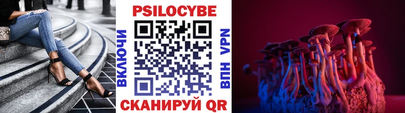 Купить  Каменск-Шахтинский  Псилоцибиновые грибы GOLDEN TEACHER 
